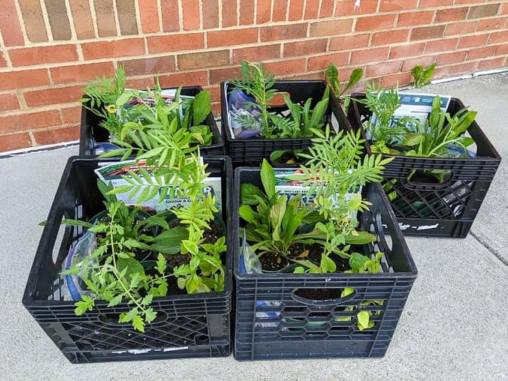 Photo of Garden kits in crates