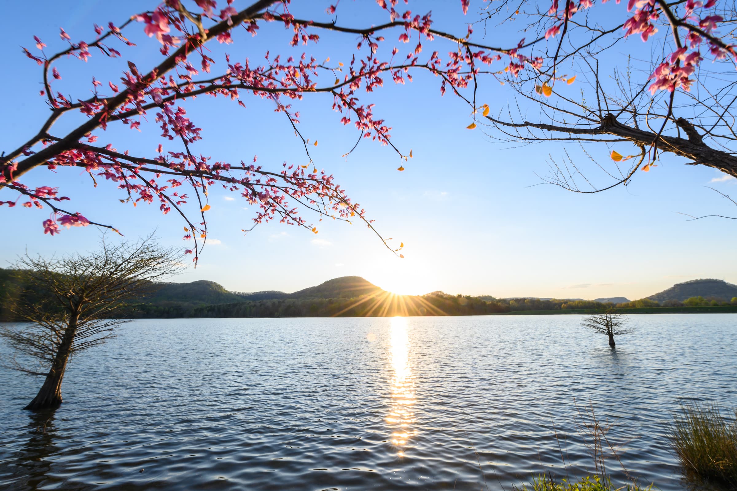 Owsley Fork Reservoir