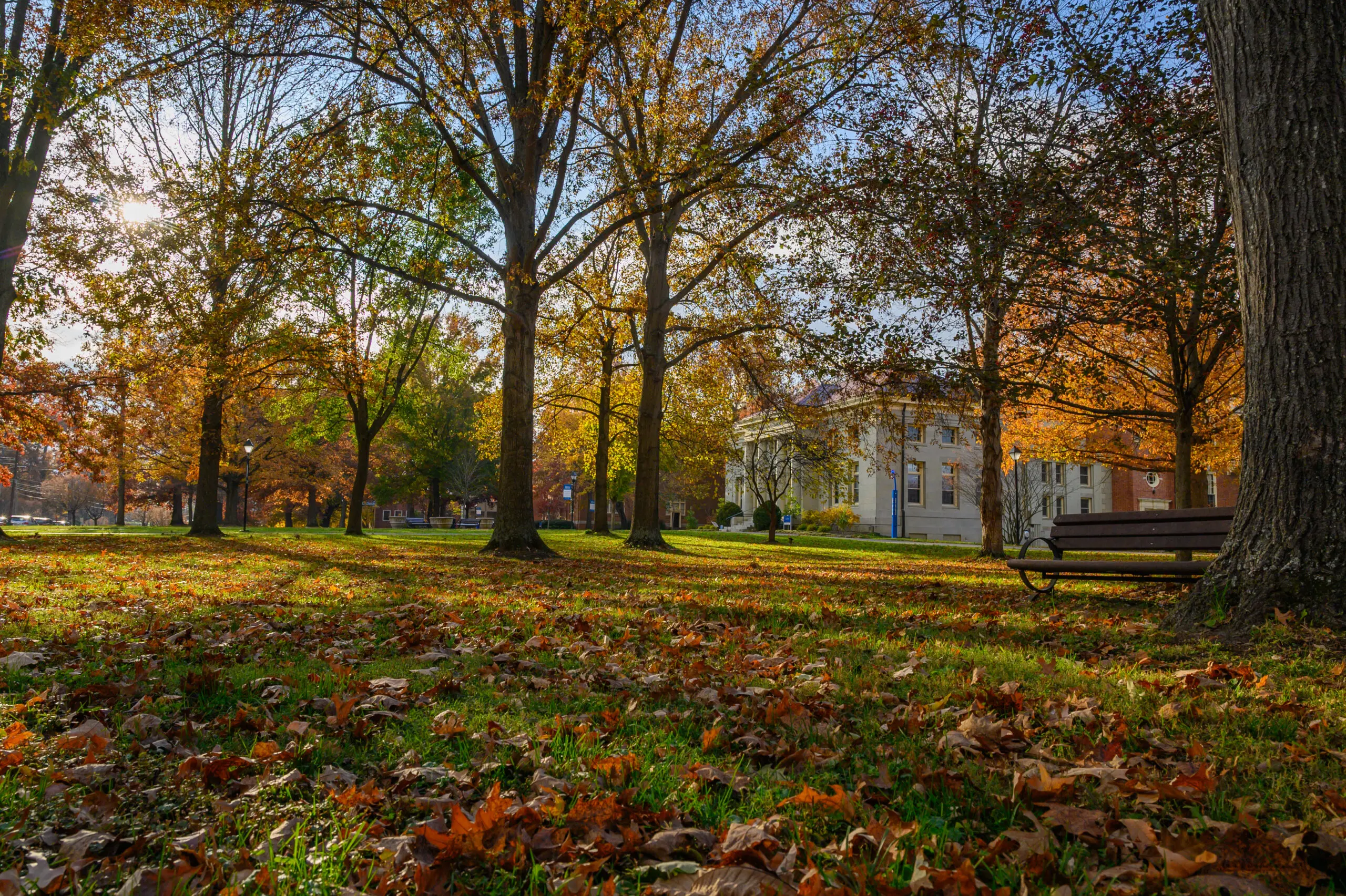 Berea College campus in autumn near the art building
