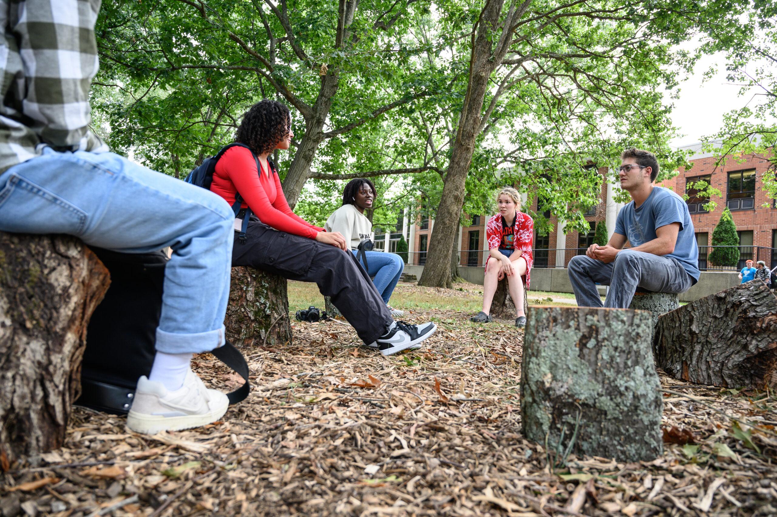 Students sitting outside on a tree stump